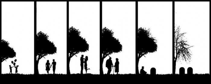 de la cuna a la tumba Andres Gutierrez